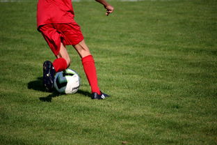 开云体育app在线-意甲裁判语义辅助判罚系统提升比赛公平性研究，意甲裁判组